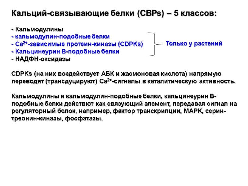 Кальций-связывающие белки (CBPs) – 5 классов:   - Кальмодулины - кальмодулин-подобные белки -